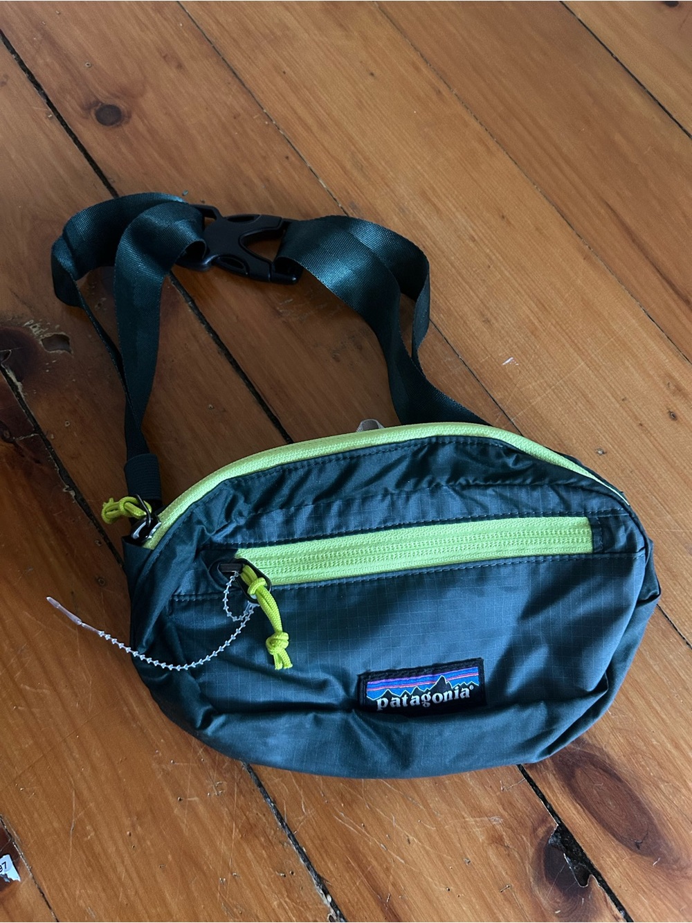 Patagonia Ultralight Black Hole Mini Hip Pack Belt Bag Forge Gray Lightweight